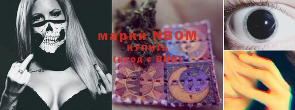 ешки Аркадак